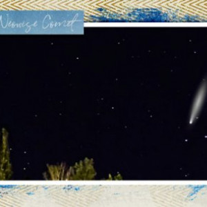 Look Up Neowise Comet