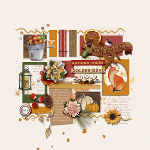 Wonder Fall