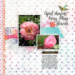 May Flowers