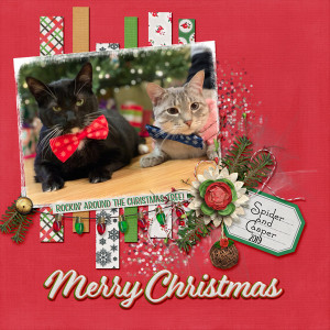 Meowy-Christmas