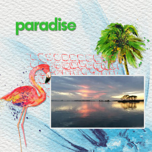 Paradise