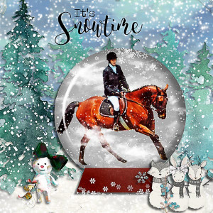 Riding in the Snow