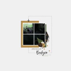 Badger