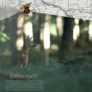 Hidden World