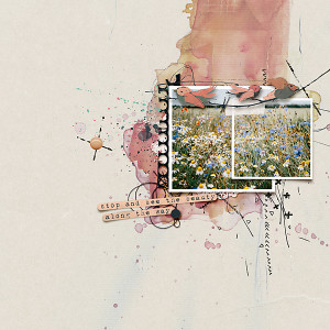 20-07_rjefferies-makeyourmark4_wildflowers-copy