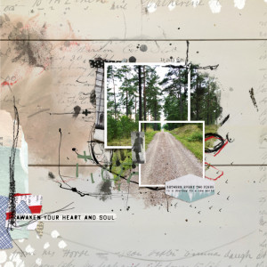 Between the pines