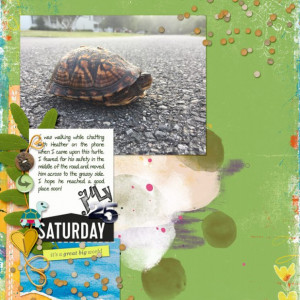 07speed-turtle