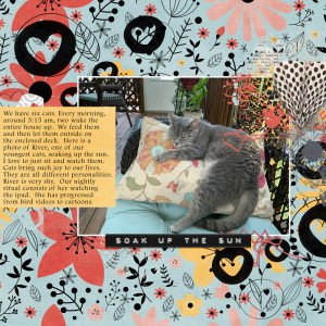 Lily-pad-august-2020-journal