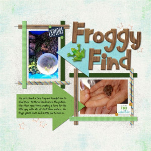 Froggy Find
