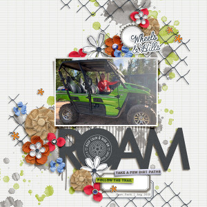 roam
