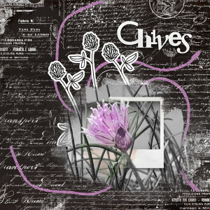 Style_chives