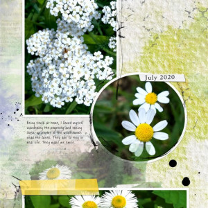 NBK-Design_2020-08_August_SOSN_0805_Storybook-TP_GOE_web