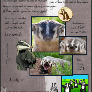 BADGER BADGER BADGER