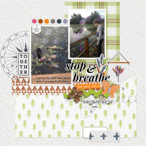 AugScraplift-the swannies