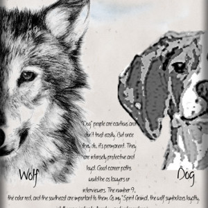 Wolf-dog