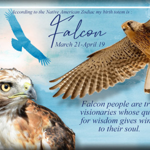 ATC-2020-110-Falcon