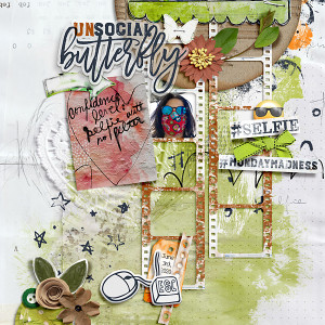 Unsocial butterfly