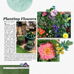 Planting Flowers 2020