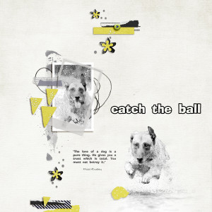 Catch the Ball