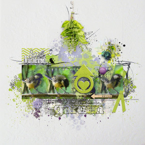 Home & garden