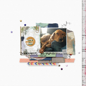 Aug2020Challenge_scraplift