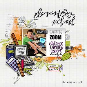 2020-Connor-Distance-Learning---the-New-Normal