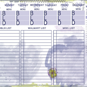 Weekly Meal Planning_Shopping Part 3