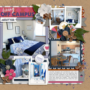 Sophomore Apartment pg-2