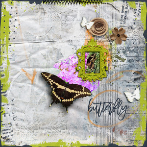 butterfly