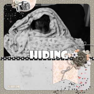 Hiding