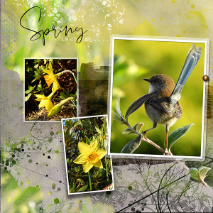 RIGHT HAND SIDE - SPRING IS COMING
