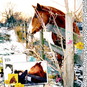 Lynn-Grieveson_2020-08_August_SOSN_0812_Horse_H-is-For,-Worn-Tops,-Instant-Soft-Pop-Frames_web
