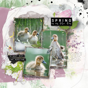First day of Spring
