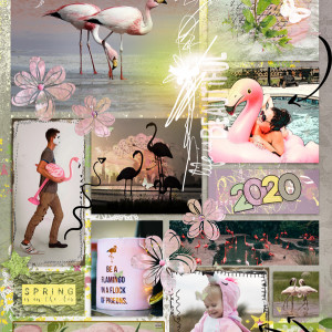 Flamingo Spring