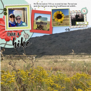 Colorado Hiking - SWL August 2020 MBC, Take A Hike By Designed By Soco