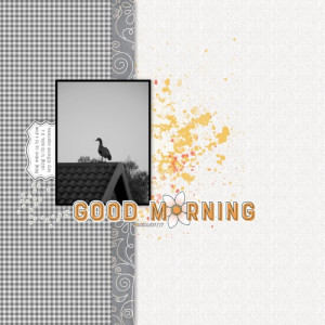 Good Morning