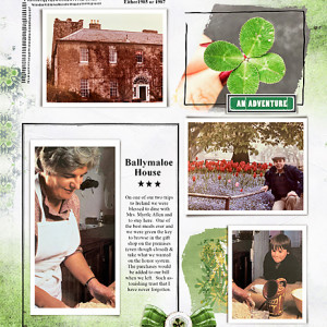 Lgrieveson_Aug2020_tp-chall_flowersgal_web