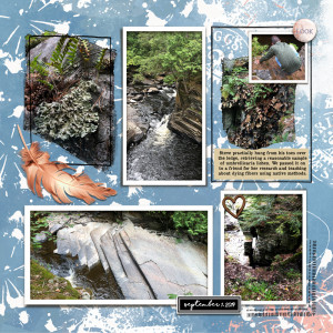 Canyon-Falls---Page-2