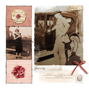 family memories