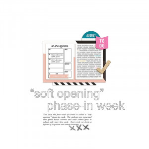 2020.08.17-soft-opening