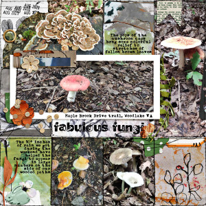 Fabulous Fungi Pg 1