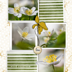 Anemones