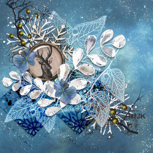 Winter-flora