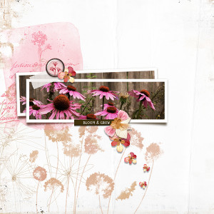 Bloom and Grow