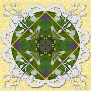 Week 3 Flora