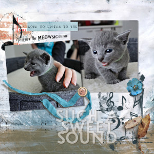 200711_meow