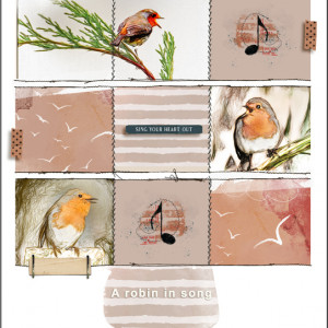 A Robin in Song