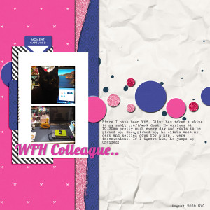 Sahindesigns Challenge: August 2020 - Furry Colleague