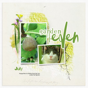 Summer July 2020