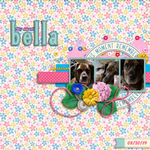 My Sweet Bella